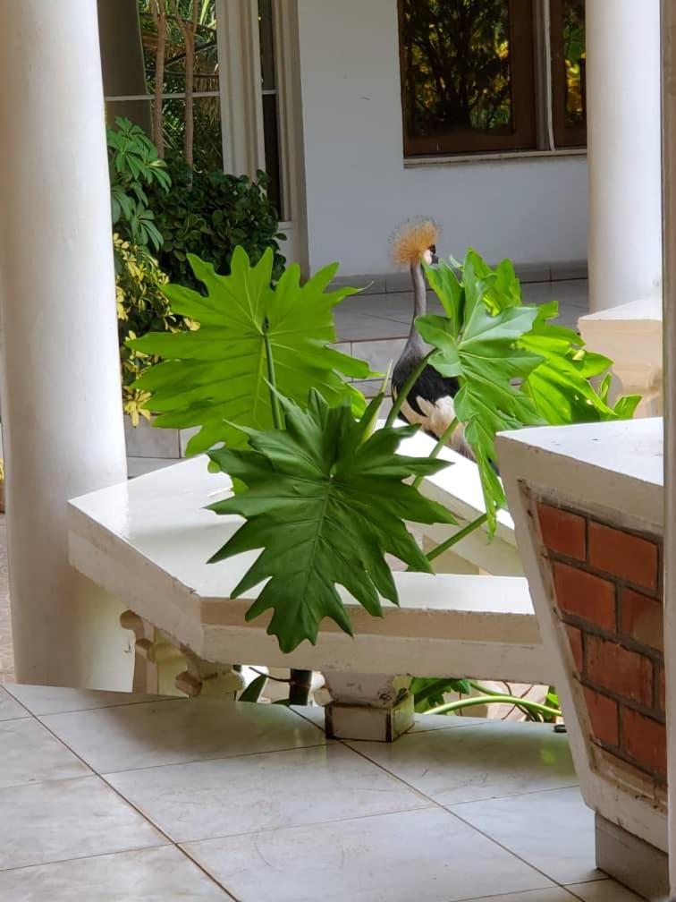 Kiriri Residence Hotel Bujumbura Eksteriør billede