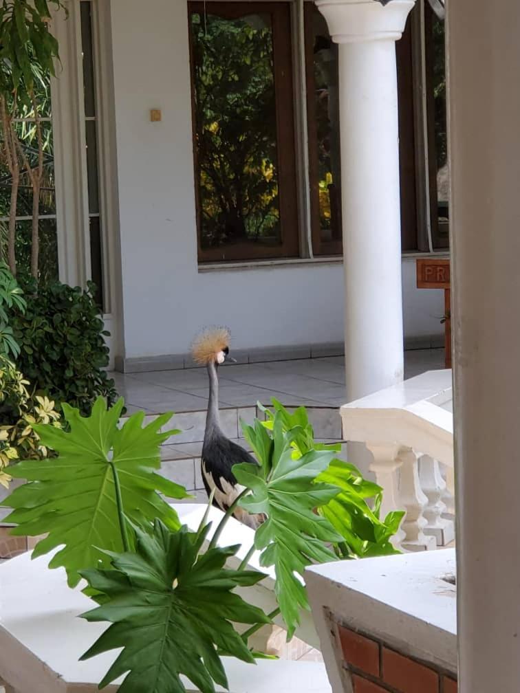 Kiriri Residence Hotel Bujumbura Eksteriør billede